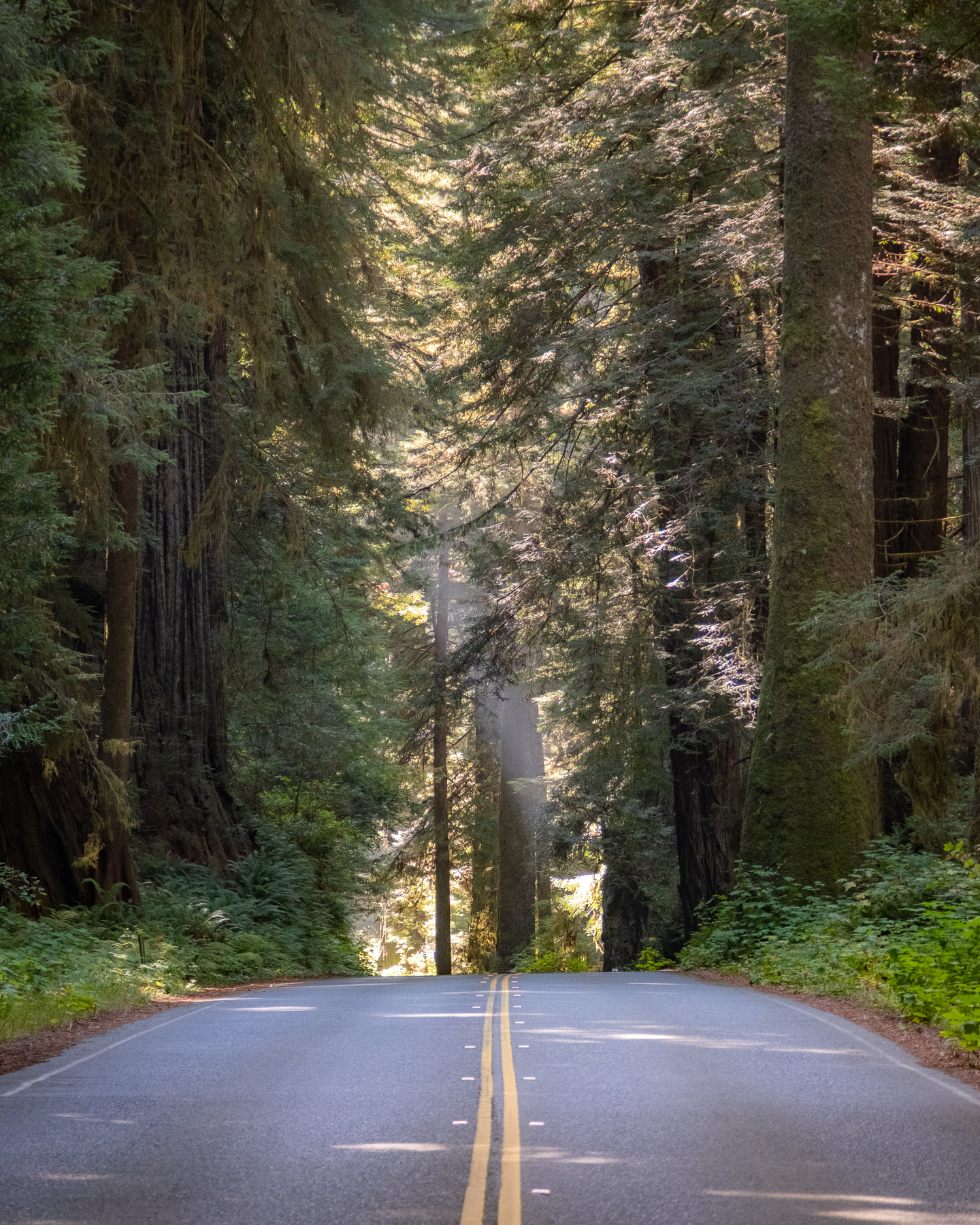 Pacific Northwest Road Trip photo titled Pacific Coast 17